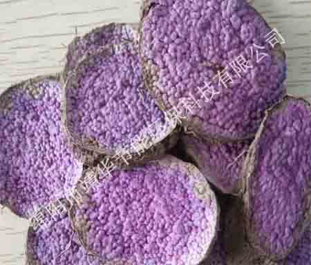 四川果蔬烘干機(jī)