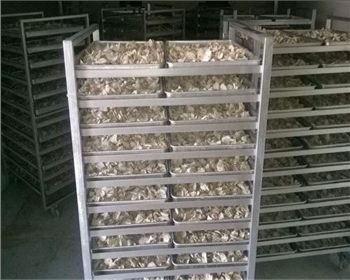 綿陽市靖化節(jié)能環(huán)?？萍脊倬W(wǎng)正式升級成功