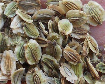 幾種常見的中草藥，趕緊收著吧