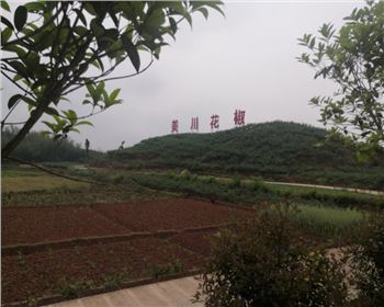 宜賓美川花椒烘干新項目設(shè)備進場安裝