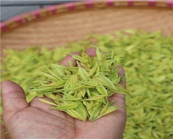 四川果蔬烘干機(jī)的好處有哪些呢？